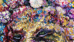 anim Lion